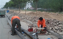 金乡公司捉住机缘营生长，艰辛创业拓绚烂