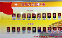 潜能集团党委开展党员允许运动